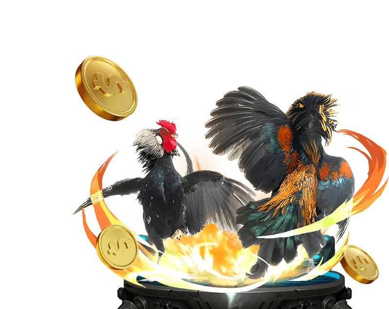 Hướng dẫn cá cược cho người mới bắt đầu 77win com